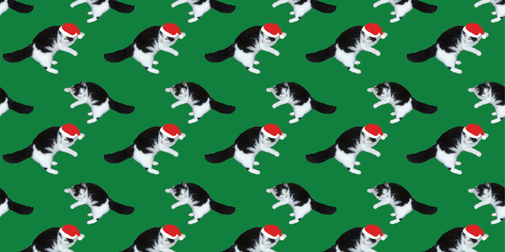 Christmas cat repeat