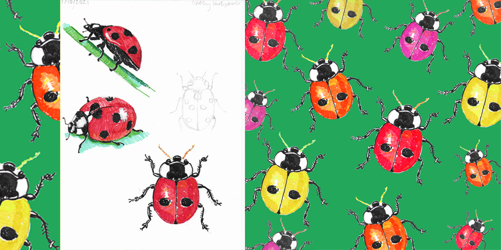 Ladybird drawings and pattern study